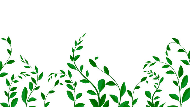 Background with leaves and branches, vector illustration. branches