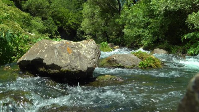 Mysterious mountainous jungle with trees bent over a rapid stream with rapids. Magical landscape of rainforest and river with rocks. . Georgia, Dashbashi.