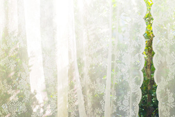 white curtain with window view / tree garden background.