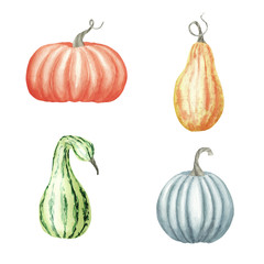 Hand drawn watercolor illustration. Set with ripe orange, yellow, green pumpkins. Atumn harvest, watercolor sketch.