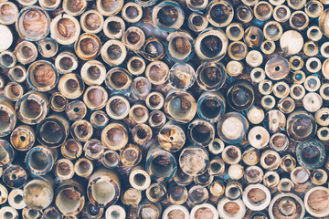 Bamboo circle cross section consisting of texture textured concept background. Decoration nature concept save world idea