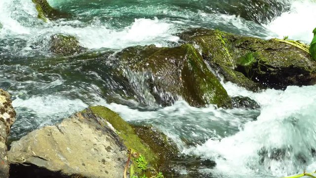 Mysterious mountainous jungle with trees bent over a rapid stream with rapids. Magical landscape of rainforest and river with rocks. . Georgia, Dashbashi.
