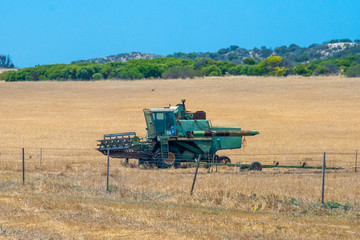 Fototapeta premium Old combine harvester parked on dry corn field in Western Australia