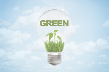 3d rendering of GREEN sign over small green sprout inside a light bulb on blue sky background