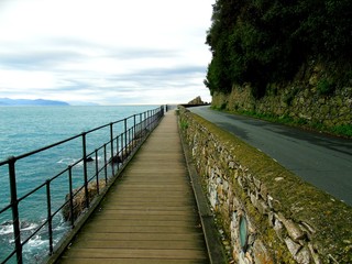 Beautiful bay with colorful houses in Portofino, Liguria, Italy