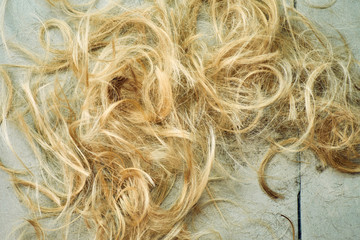 Trimmed blond hair on the parimmecher's floor.