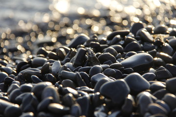 Obraz premium Sea pebbles - detailed story