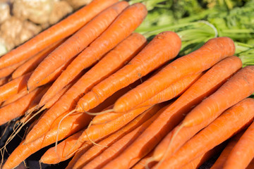 PRAID, ROMANIA - July 4, 2019: Close up of fresh carrots - on sale at a market. Agriculture, baby food, healthy, carotene, close up, harvest, garden, vitamin, bunch, natural, context, vivid, orange.