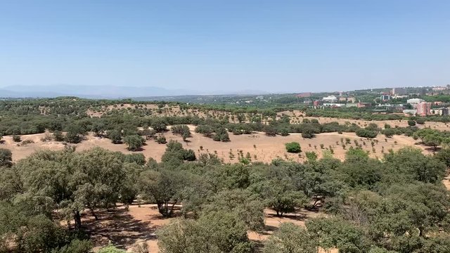 Parc Casa de Campo &agrave; Madrid, Espagne