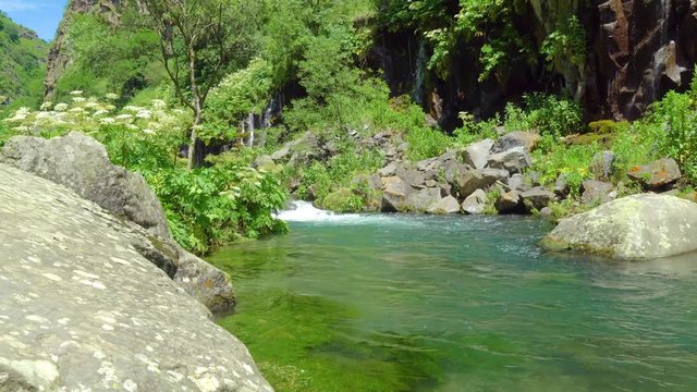Mysterious mountainous jungle with trees bent over a rapid stream with rapids. Magical landscape of rainforest and river with rocks. . Georgia, Dashbashi.