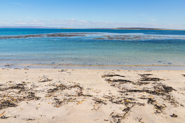 Beach with sand, rocks and seaweeds in Inishmore