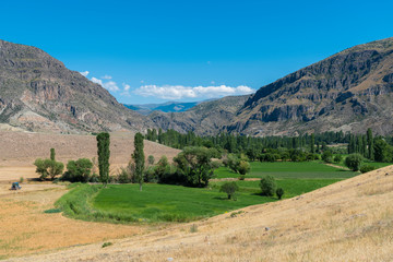 Fototapeta na wymiar Beautiful panoramic view on the valley with green field trees and mountains.