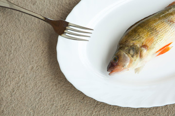fish perch plate stone background