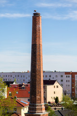 Fototapeta premium Horst eines Storches auf einem alten Schornstein