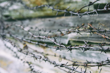 Fototapeta na wymiar barbed wire