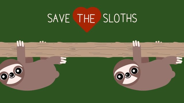 100 baby animals. Walk cycle of a cute baby sloths. Three-toed Sloths slow climbing a tree. SAVE THE SLOTHS. 2D animation made in 4K, loopable clip