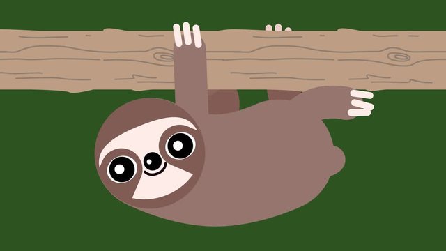 100 baby animals. Walk cycle of a cute baby sloth. Three-toed Sloth slow climbing a tree. 2D animation made in 4K, loopable clip