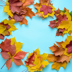 Naklejka na ściany i meble Frame of autumn leaves on a blue background