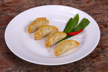 Japanese traditional cuisine Gyoza dumplings