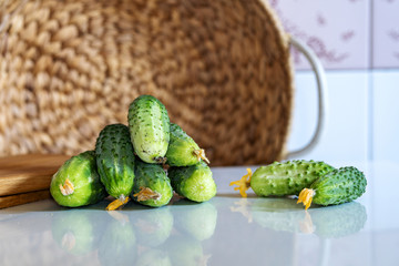 on the kitchen table, freshly picked green cucumbers and a wooden cutting board, in the background a straw wicker basket, close-up, horizontal frame, copy space