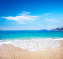 beautiful beach and tropical sea