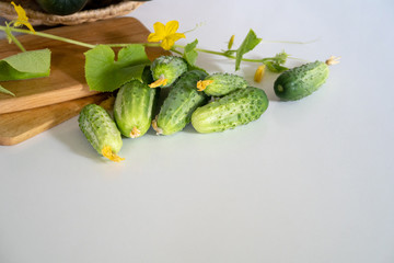 on a white kitchen table, freshly picked green cucumbers, yellow honey flowers, zucchini and a wooden cutting board, close-up, top view, copy space