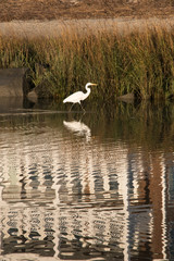 St Simon Island, Georgia
