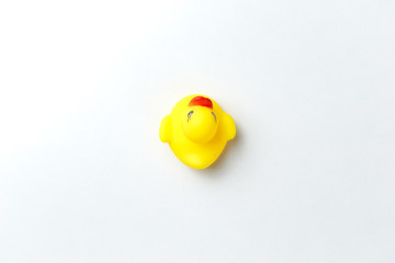 Yellow rubber duck isolated on white background. Minimal style with white backdrop. Top view. Trendy colorful photo. Flat lay. Copy space. Minimal creative concept