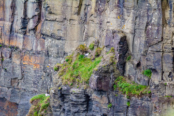 Vertical wall of limestone rock with moss in the coastal walk route from Doolin to the Cliffs of Moher, Wild Atlantic Way, spring day in county Clare in Ireland