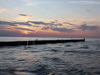 Fototapeta premium Bunen in der polnischen Ostsee