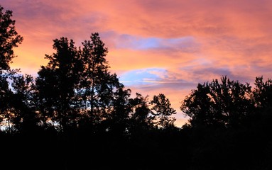 Fototapeta na wymiar Sunset and Trees