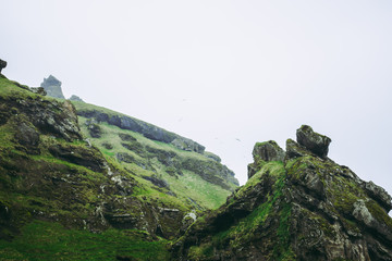 Gulls flying over gray rocks covered with green moss in Iceland. Heavy rainy clouds