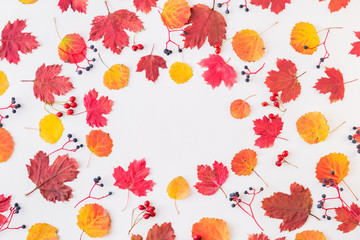 Fototapeta premium Flat lay pattern with colorful autumn leaves and berries on a white background