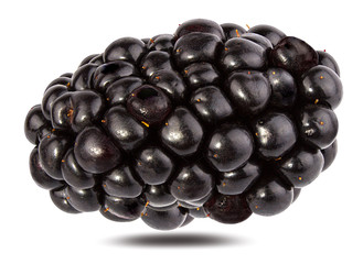 Blackberry isolated on white background with clipping path