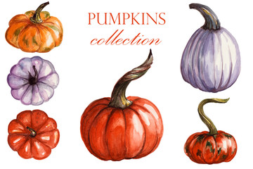 Set of hand painted watercolor of pumpkins. Autumn design. Can be used in wallpaper design, for greeting cards, helloween invitation, textile, decoration. isolated