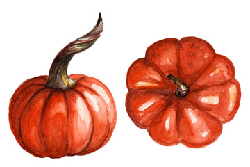 Set of hand painted watercolor of pumpkins. Autumn design. Can be used in wallpaper design, for greeting cards, helloween invitation, textile, decoration. isolated