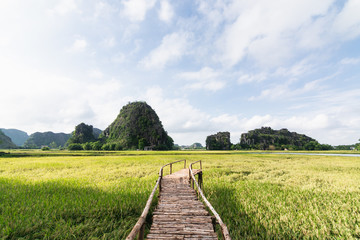 Fototapeta na wymiar Wooden bridge going through rice field towards mountains of Tam Coc park in Ninh Binh, Vietnam