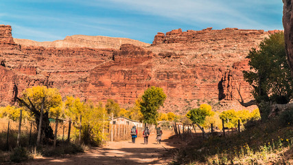 Hikers walking into Grand Canyon