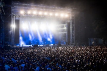 back view of people at the concert