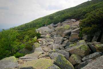 stony trail in the Sniezne Kotly / snowy kettles/ snezne Jamy reserve in the Karkonoski National Park in the Giant Mountains in Poland