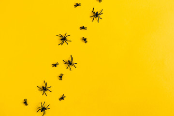 Halloween decorations concept. Halloween with spiders on yellow  background. Flat lay, top view, copy space
