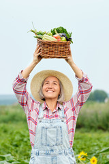 Woman Holding a Basket full of Harvest Organic Vegetables and Root on Organic Bio Farm. Autumn Vegetable Harvest
