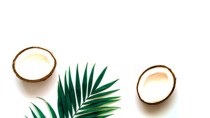 Tropical background with coconut halves. Palm leaves on white isolated background