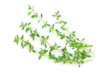 Fresh thyme spice isolated on white background, Top view. Flat lay.