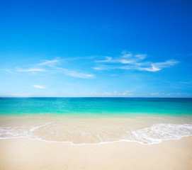 beautiful beach and tropical sea