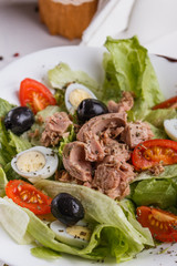 Fresh salad with iceberg lettuce,tomatoes,eggs,canned tuna and olives