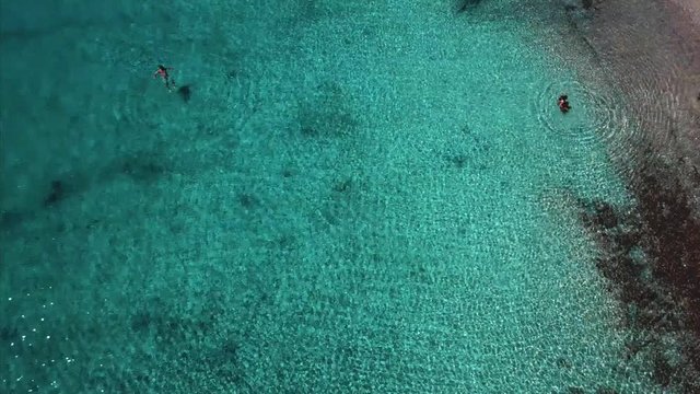 Beach with sun loungers on the coast of the ocean