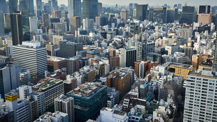 Fototapeta premium Panoramę Tokio i mnóstwo drapaczy chmur widzianych z WTC.