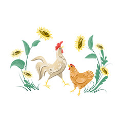 Cute white rooster and brown chicken near sunflower