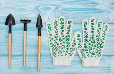 top view of garden tools for plants and grootransplantingming the garden, garden gloves on a wooden...